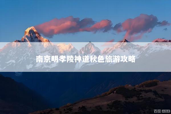 文章配图