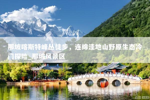 那坡喀斯特峰丛徒步，连绵洼地山野原生态冷门探险_那坡风景区
