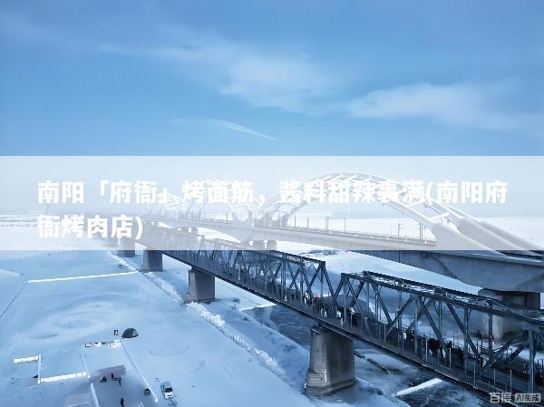 南阳「府衙」烤面筋，酱料甜辣裹满(南阳府衙烤肉店)