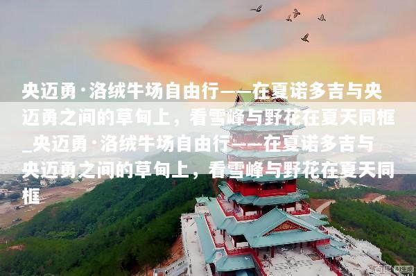 央迈勇·洛绒牛场自由行——在夏诺多吉与央迈勇之间的草甸上，看雪峰与野花在夏天同框_央迈勇·洛绒牛场自由行——在夏诺多吉与央迈勇之间的草甸上，看雪峰与野花在夏天同框