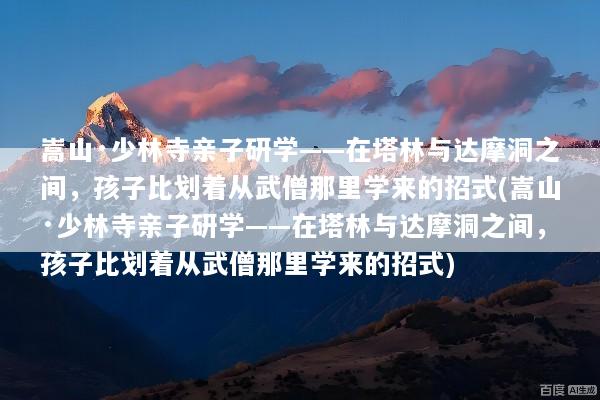 嵩山·少林寺亲子研学——在塔林与达摩洞之间，孩子比划着从武僧那里学来的招式(嵩山·少林寺亲子研学——在塔林与达摩洞之间，孩子比划着从武僧那里学来的招式)
