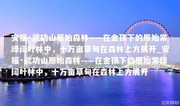 安福·武功山原始森林——在金顶下的原始常绿阔叶林中，十万亩草甸在森林上方展开_安福·武功山原始森林——在金顶下的原始常绿阔叶林中，十万亩草甸在森林上方展开