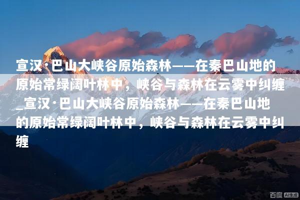 宣汉·巴山大峡谷原始森林——在秦巴山地的原始常绿阔叶林中，峡谷与森林在云雾中纠缠_宣汉·巴山大峡谷原始森林——在秦巴山地的原始常绿阔叶林中，峡谷与森林在云雾中纠缠