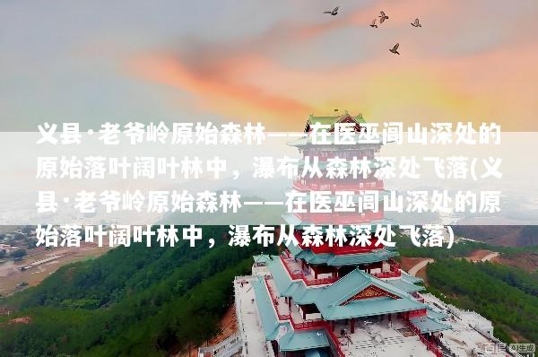 文章配图
