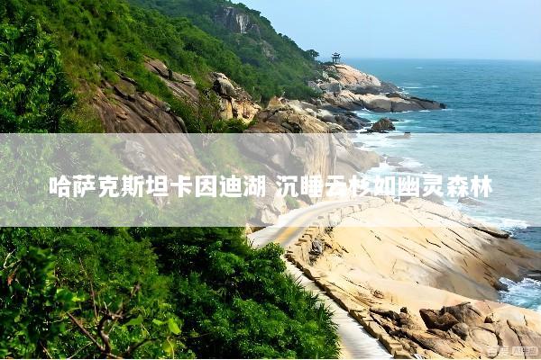 哈萨克斯坦卡因迪湖 沉睡云杉如幽灵森林