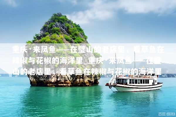 重庆·来凤鱼——在璧山的老店里，看草鱼在辣椒与花椒的海洋里_重庆·来凤鱼——在璧山的老店里，看草鱼在辣椒与花椒的海洋里