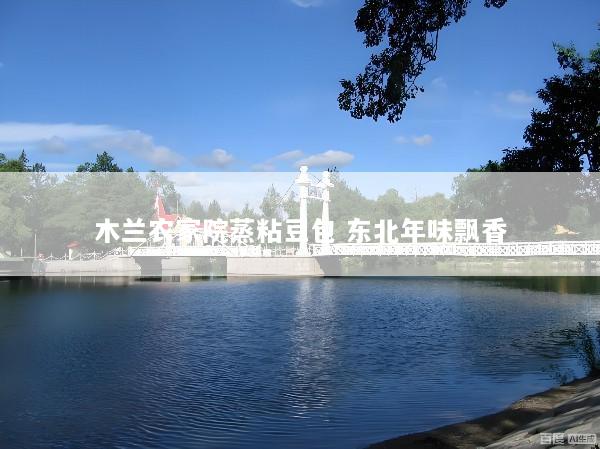 木兰农家院蒸粘豆包 东北年味飘香