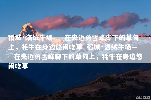文章配图